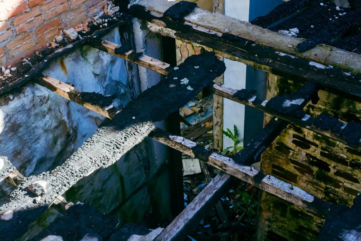 Roof Leak Repair in Nacogdoches, TX